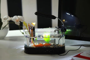 USB Desktop Streaming Mini Aquarium Time Date Week Temperature Alarm Transparent Pen Holder