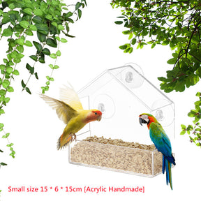 Bird Feeder Camera Live Bird Feeder Cam Bird Buddy Smart Bird Feeder With Camera